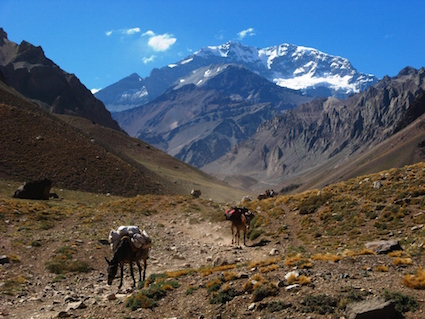 Trekking Club Aconcagua expedition