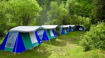 living tents (main glade)