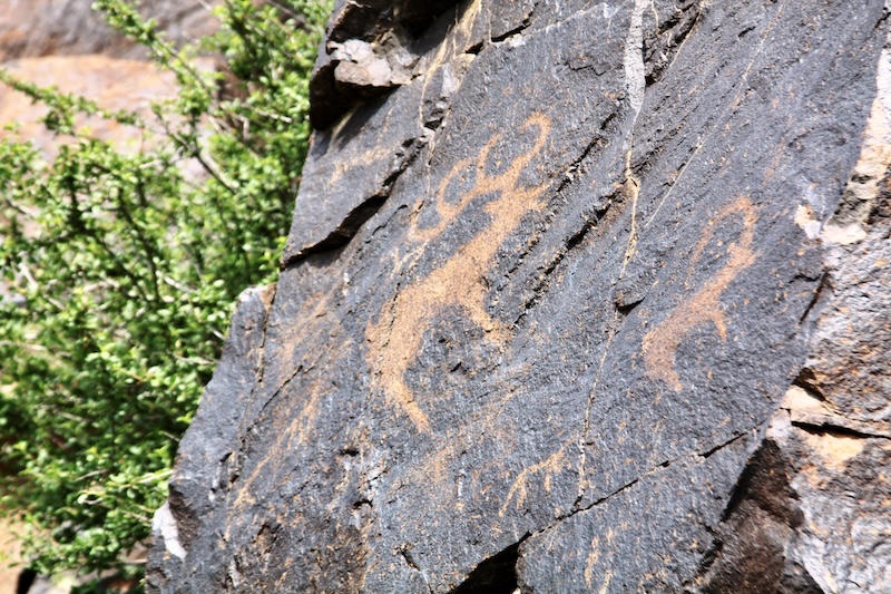 rock carvings in Altyn Emel