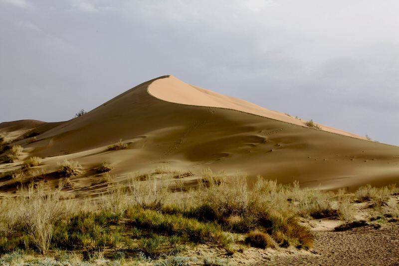 Singing Dune