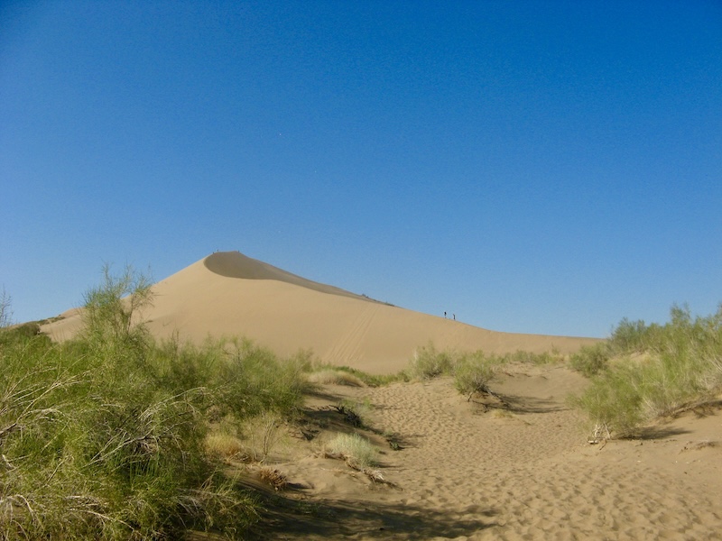 Dune’s view