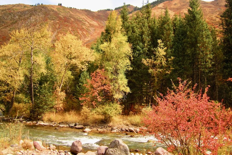 Turgen gorge in autumn