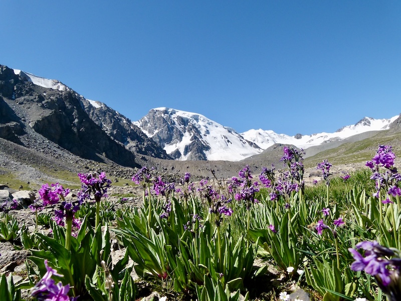 Glaciers in the upper reaches of Turgen River