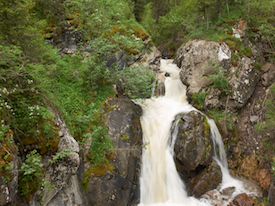 wanders of Turgen gorge