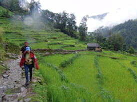 trekking in Nepal