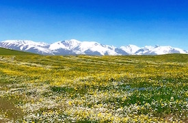 1 day around Almaty: from glaciers to deserts