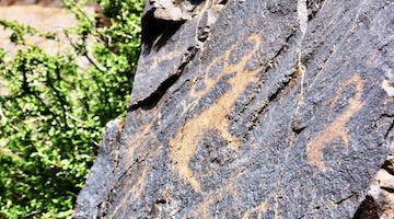 rock carvings in Bes Shatyr