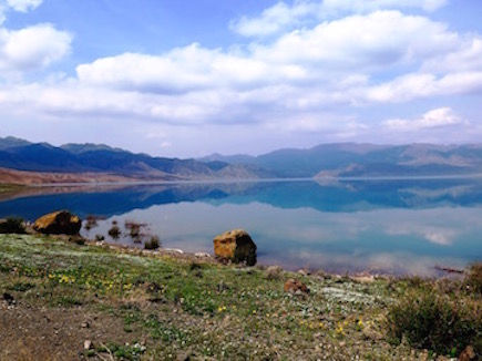 birdwatching Kazakhstan