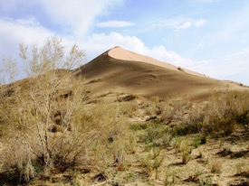 Singing Dune