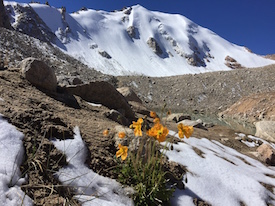 Tien Shan glaciers