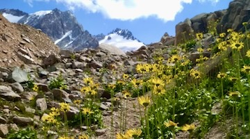 trail up the glacier along the moraine