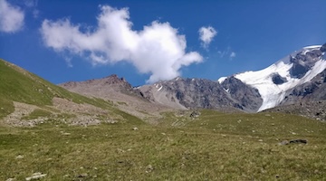 Wide grassy alpine meadow leading towards rugged mountain ridges and a snow-covered glacier in the Northern Tien Shan