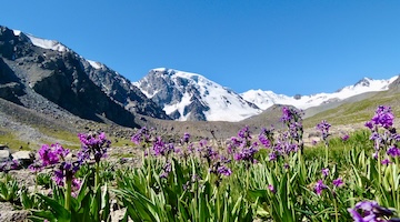 approaching glaciers