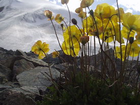 Kazakhstan nature